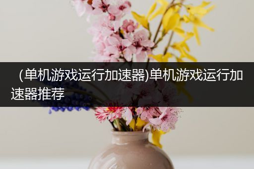 （单机游戏运行加速器)单机游戏运行加速器推荐