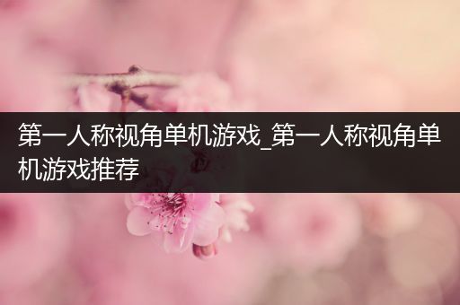 第一人称视角单机游戏_第一人称视角单机游戏推荐