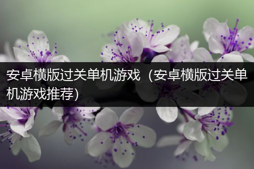 安卓横版过关单机游戏（安卓横版过关单机游戏推荐）