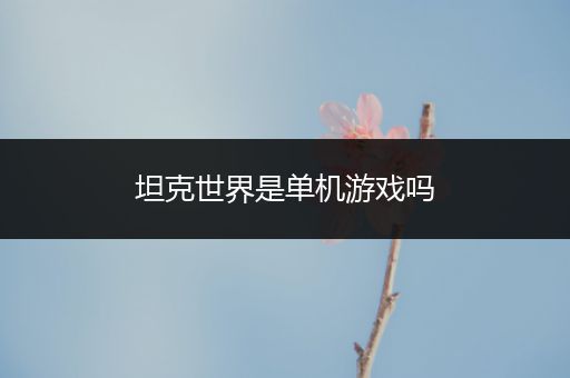 坦克世界是单机游戏吗