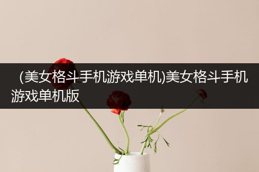 （美女格斗手机游戏单机)美女格斗手机游戏单机版