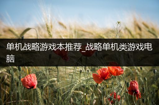 单机战略游戏本推荐_战略单机类游戏电脑
