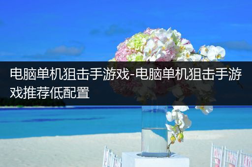 电脑单机狙击手游戏-电脑单机狙击手游戏推荐低配置