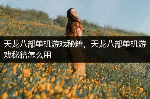 天龙八部单机游戏秘籍，天龙八部单机游戏秘籍怎么用