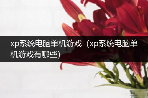 xp系统电脑单机游戏（xp系统电脑单机游戏有哪些）