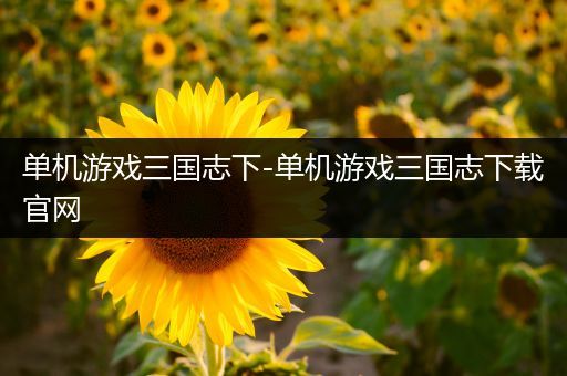 单机游戏三国志下-单机游戏三国志下载官网