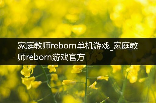 家庭教师reborn单机游戏_家庭教师reborn游戏官方