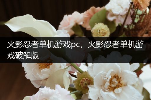 火影忍者单机游戏pc，火影忍者单机游戏破解版