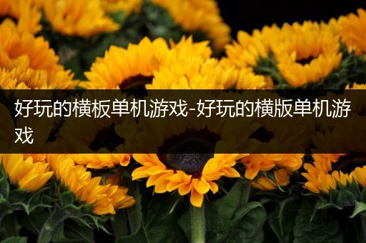 好玩的横板单机游戏-好玩的横版单机游戏