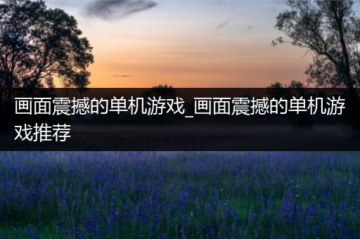 画面震撼的单机游戏_画面震撼的单机游戏推荐