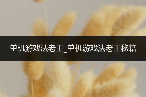 单机游戏法老王_单机游戏法老王秘籍