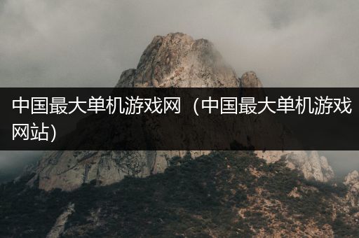 中国最大单机游戏网（中国最大单机游戏网站）