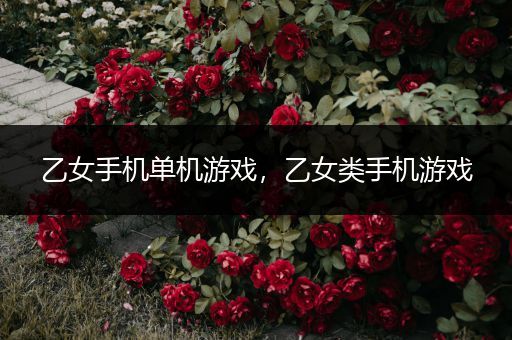 乙女手机单机游戏，乙女类手机游戏