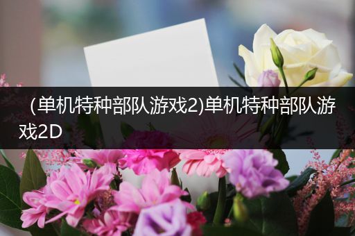 （单机特种部队游戏2)单机特种部队游戏2D