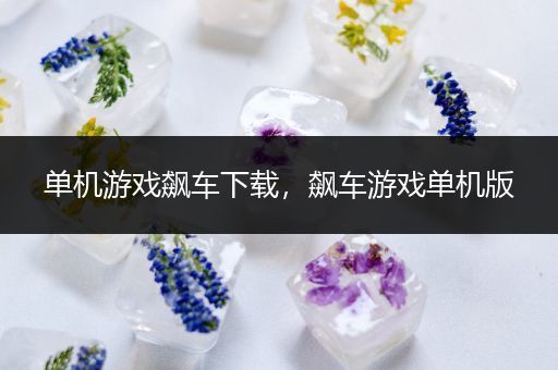 单机游戏飙车下载，飙车游戏单机版