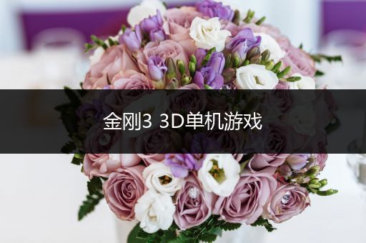 金刚3 3D单机游戏