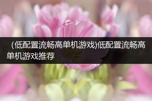 （低配置流畅高单机游戏)低配置流畅高单机游戏推荐