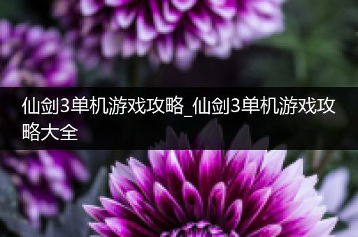 仙剑3单机游戏攻略_仙剑3单机游戏攻略大全