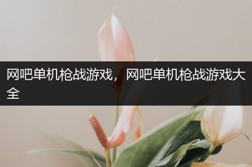 网吧单机枪战游戏，网吧单机枪战游戏大全