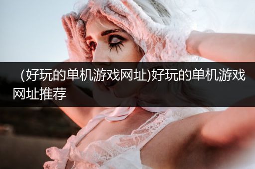 （好玩的单机游戏网址)好玩的单机游戏网址推荐