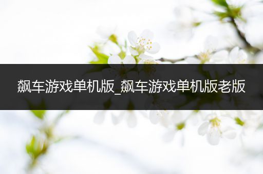 飙车游戏单机版_飙车游戏单机版老版