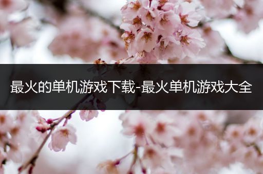 最火的单机游戏下载-最火单机游戏大全