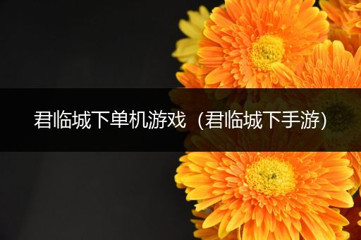 君临城下单机游戏（君临城下手游）