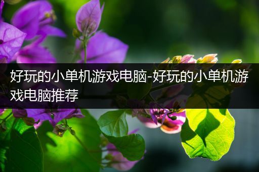 好玩的小单机游戏电脑-好玩的小单机游戏电脑推荐