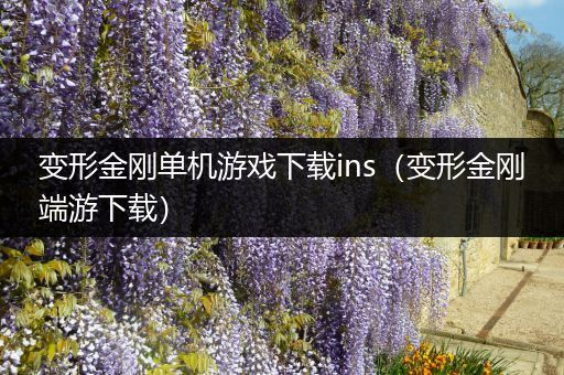 变形金刚单机游戏下载ins（变形金刚端游下载）