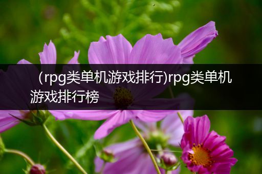 （rpg类单机游戏排行)rpg类单机游戏排行榜