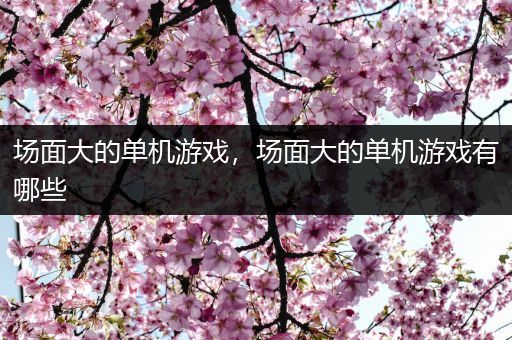 场面大的单机游戏，场面大的单机游戏有哪些