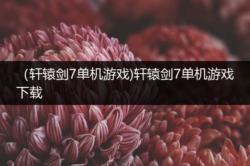 （轩辕剑7单机游戏)轩辕剑7单机游戏下载