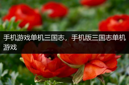 手机游戏单机三国志，手机版三国志单机游戏