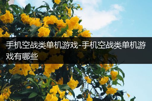 手机空战类单机游戏-手机空战类单机游戏有哪些