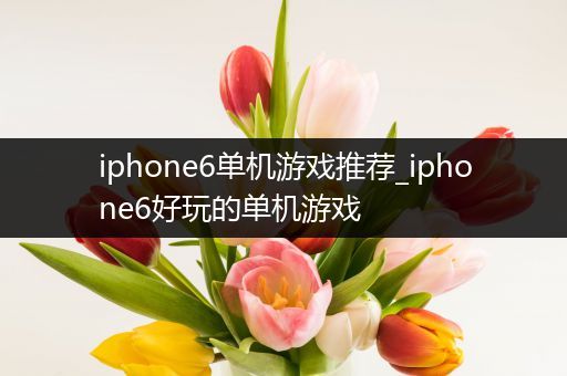 iphone6单机游戏推荐_iphone6好玩的单机游戏