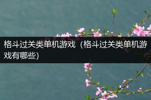 格斗过关类单机游戏（格斗过关类单机游戏有哪些）