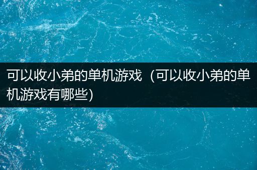 可以收小弟的单机游戏（可以收小弟的单机游戏有哪些）