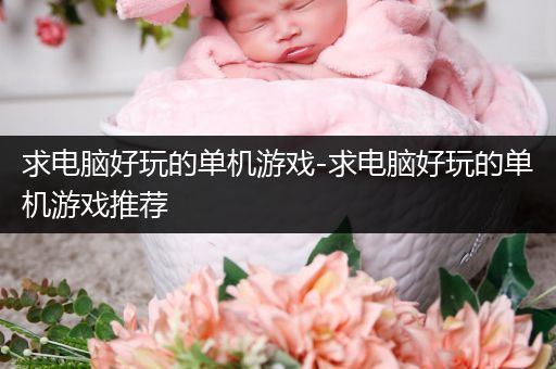 求电脑好玩的单机游戏-求电脑好玩的单机游戏推荐