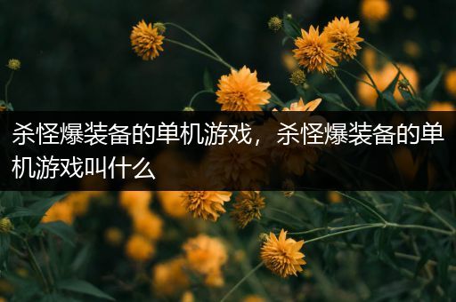 杀怪爆装备的单机游戏，杀怪爆装备的单机游戏叫什么