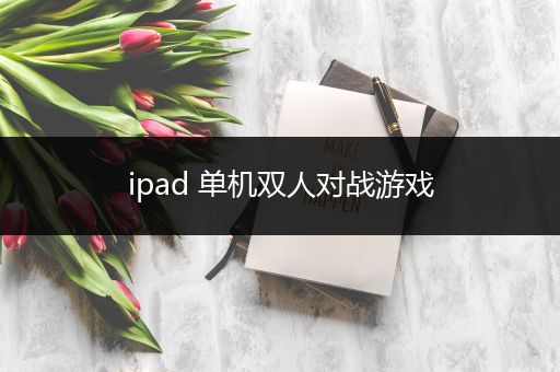 ipad 单机双人对战游戏