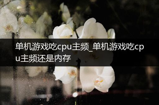 单机游戏吃cpu主频_单机游戏吃cpu主频还是内存