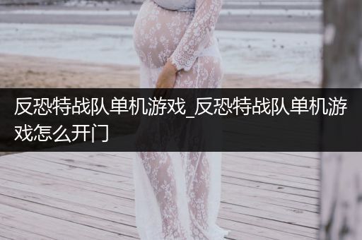 反恐特战队单机游戏_反恐特战队单机游戏怎么开门