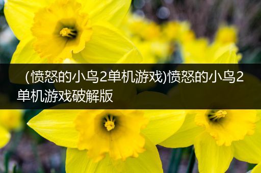 （愤怒的小鸟2单机游戏)愤怒的小鸟2单机游戏破解版