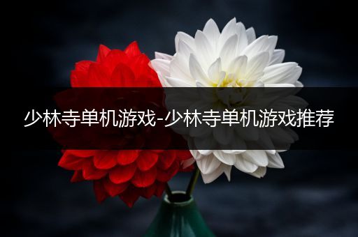 少林寺单机游戏-少林寺单机游戏推荐