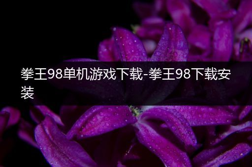 拳王98单机游戏下载-拳王98下载安装