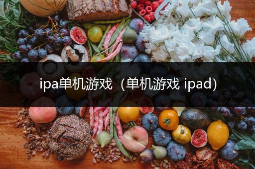 ipa单机游戏（单机游戏 ipad）