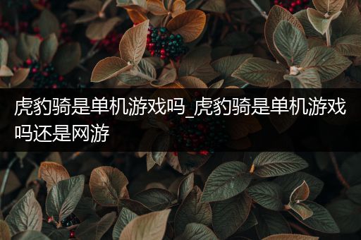 虎豹骑是单机游戏吗_虎豹骑是单机游戏吗还是网游