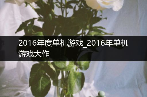 2016年度单机游戏_2016年单机游戏大作