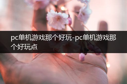 pc单机游戏那个好玩-pc单机游戏那个好玩点