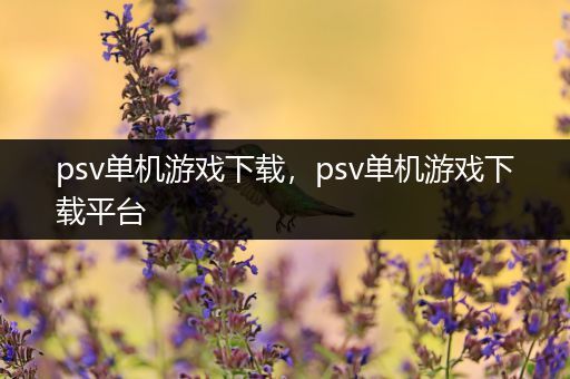 psv单机游戏下载，psv单机游戏下载平台